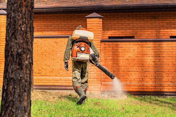 Trusted Cockroach Control service in Roslyn, PA - Nex Pest Control